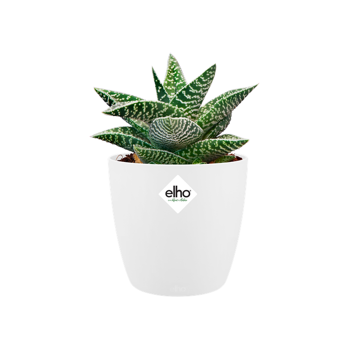 brussels rund mini 10,5cm weiss